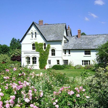 The Forest Country House B&B Newtown  Dış mekan fotoğraf