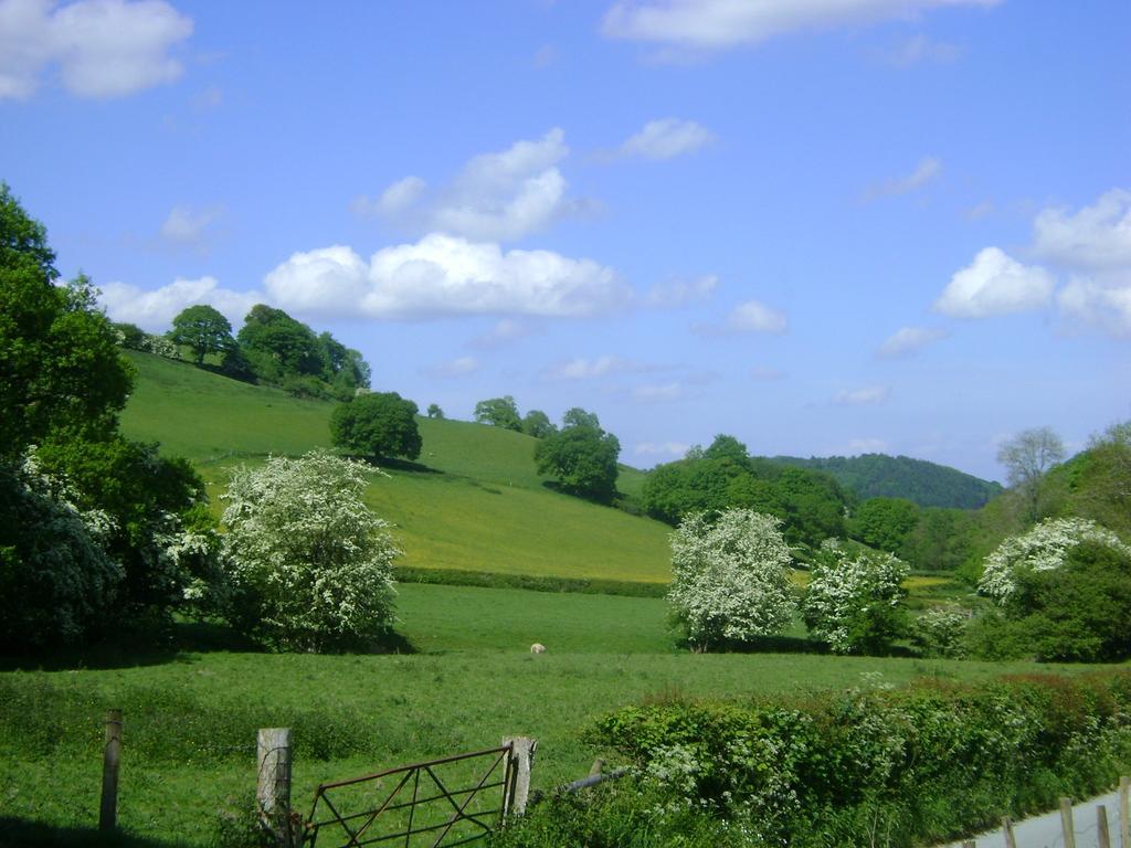 The Forest Country House B&B Newtown  Dış mekan fotoğraf