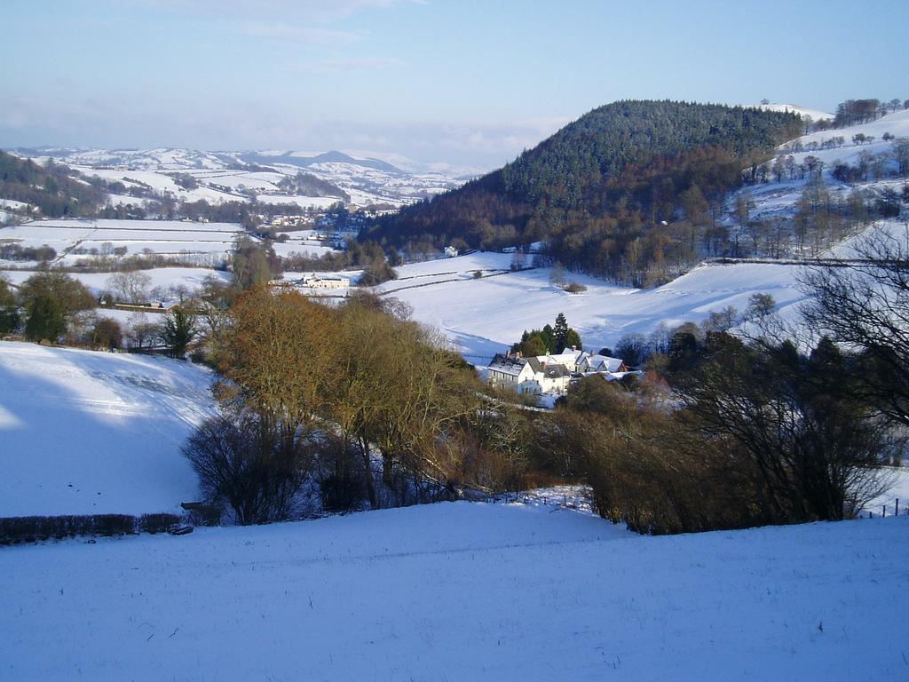 The Forest Country House B&B Newtown  Dış mekan fotoğraf