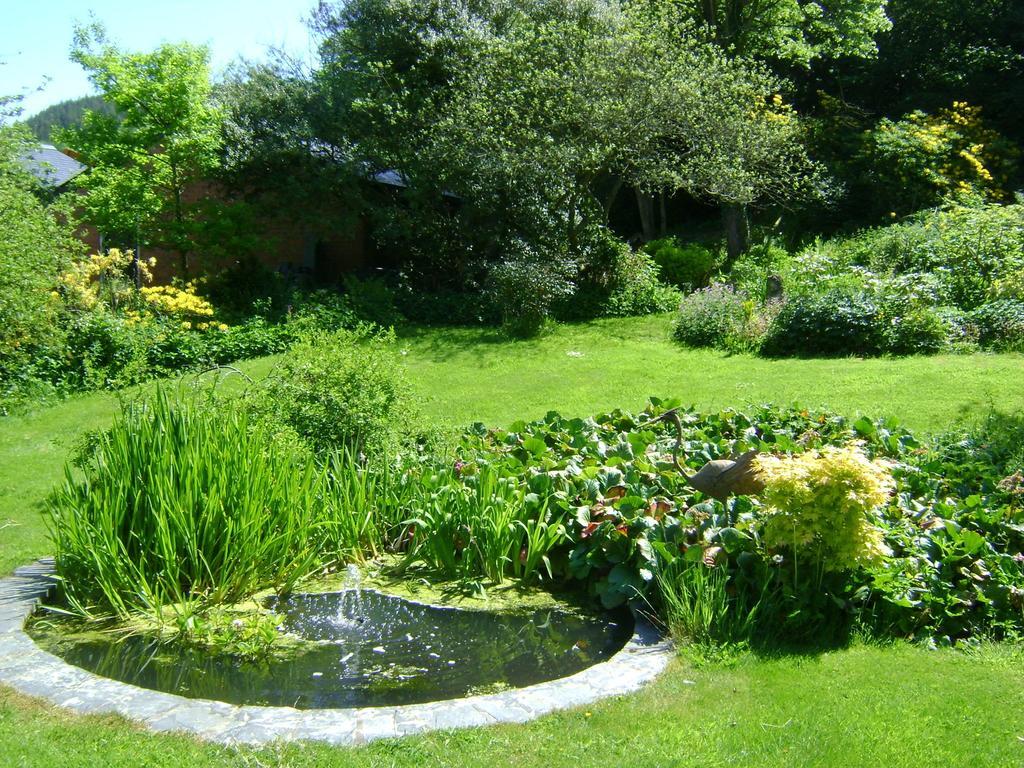 The Forest Country House B&B Newtown  Dış mekan fotoğraf