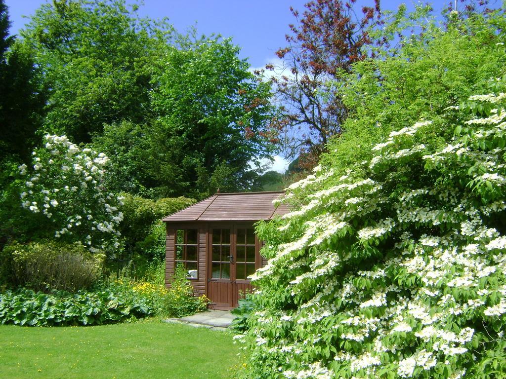 The Forest Country House B&B Newtown  Dış mekan fotoğraf