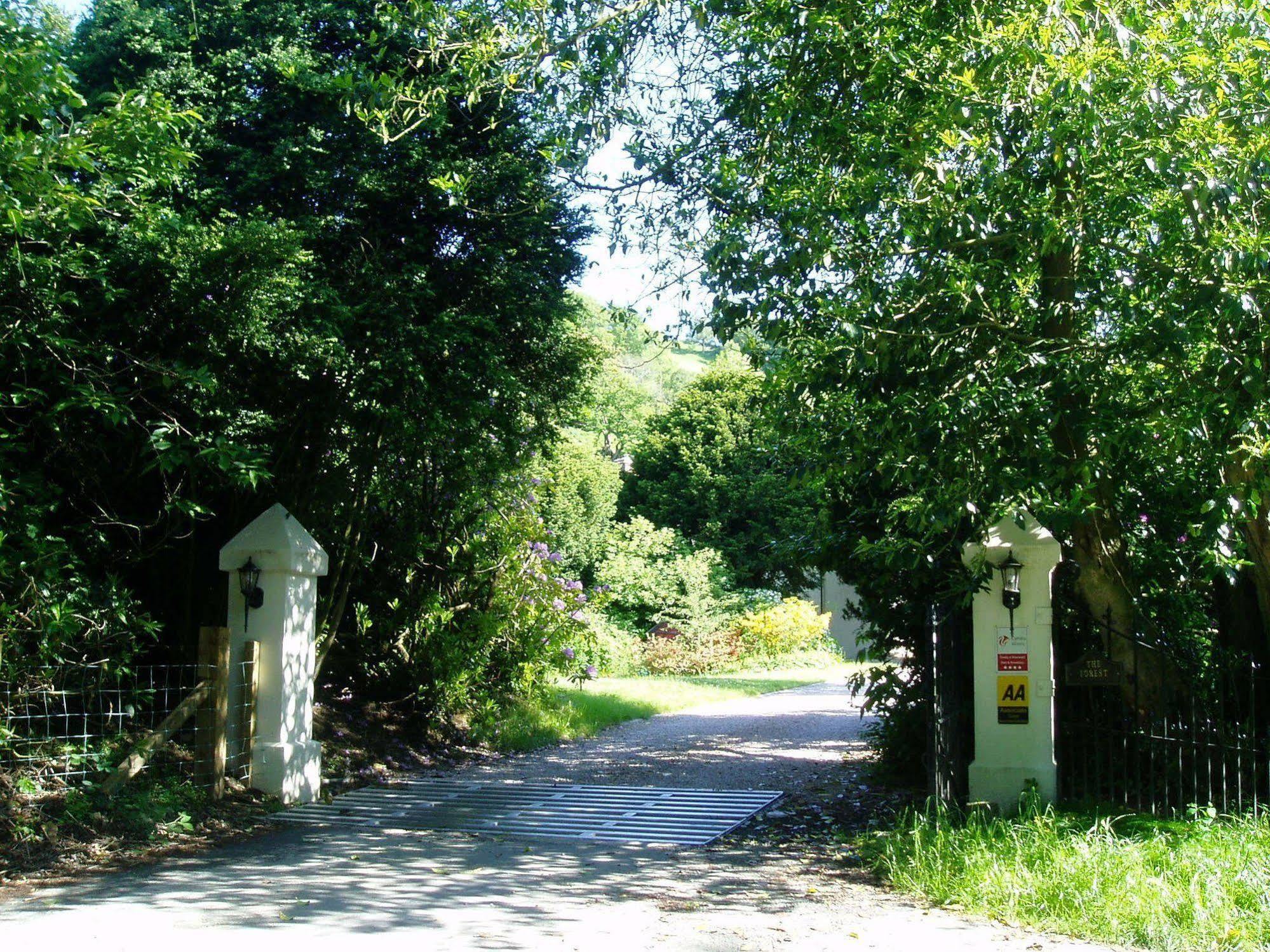 The Forest Country House B&B Newtown  Dış mekan fotoğraf